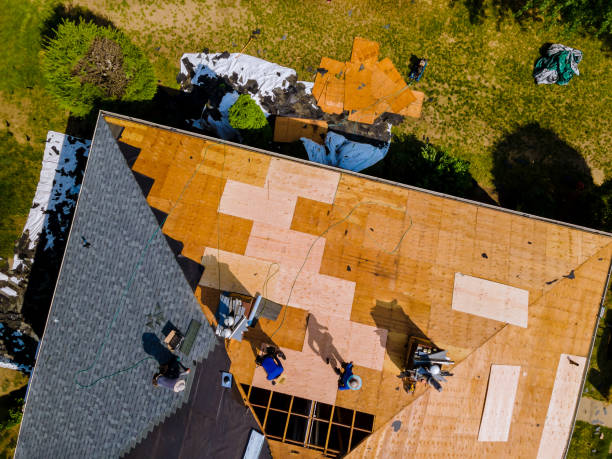 Roof Waterproofing Services in Talty, TX